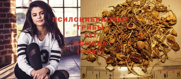 соль ск Белокуриха