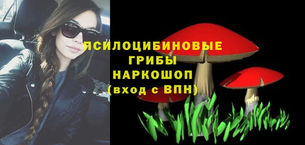 соль ск Белокуриха
